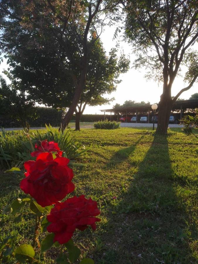 Agriturismo Podere Santa Virginia Албиния Екстериор снимка