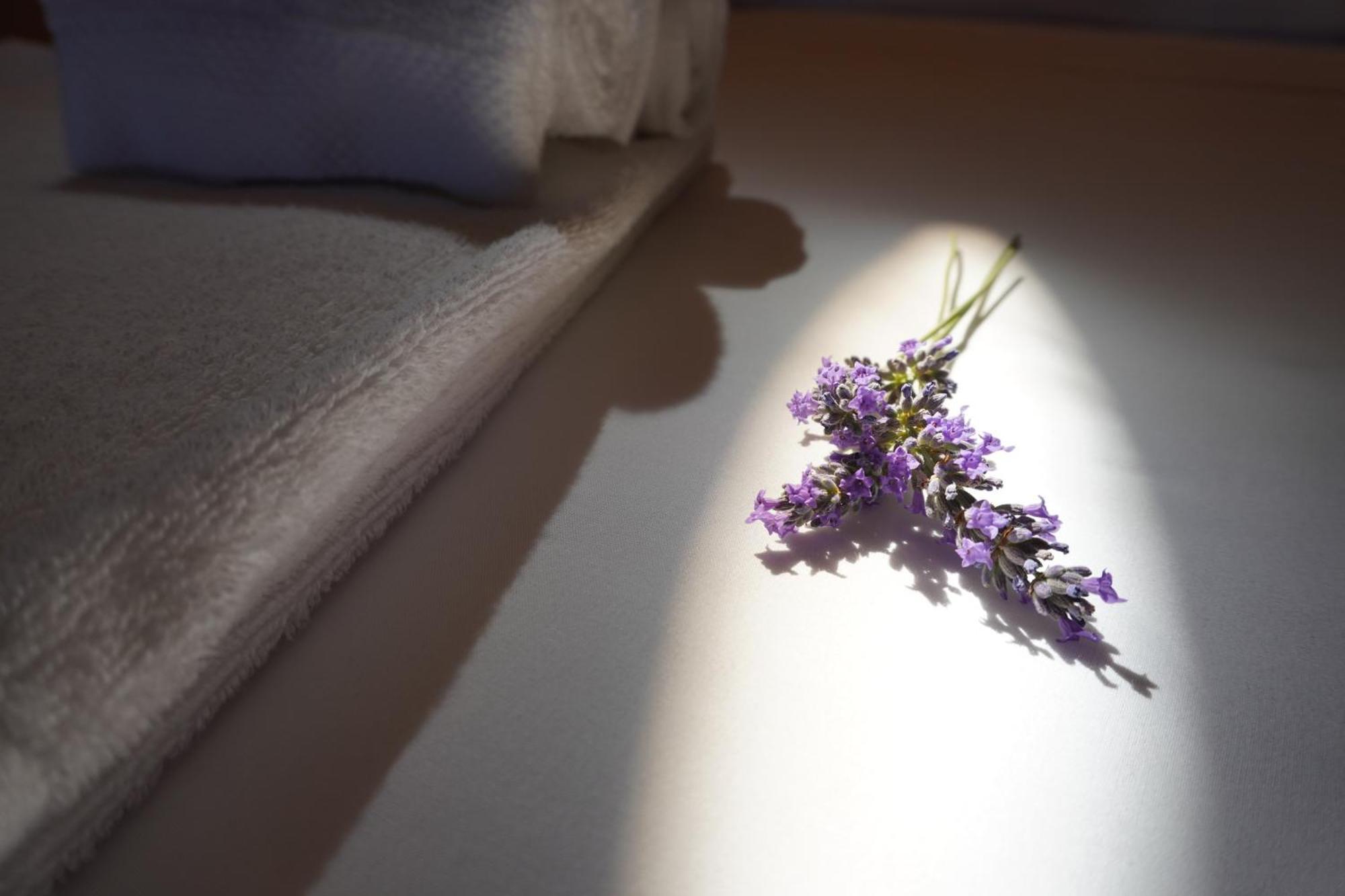 Agriturismo Podere Santa Virginia Албиния Екстериор снимка